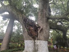 -新安江山水画廊风景区