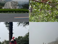 -崂山巨峰游览区