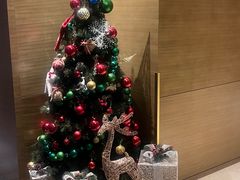 -青岛富力艾美酒店