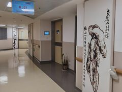 -上海市东方医院(总院)