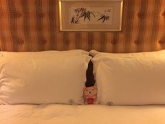 -惠州康帝国际酒店