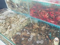 -港畔赶海蒸汽海鲜烧烤自助(仙螺岛店)