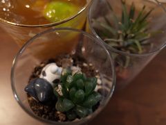 -Fridi Patisserie Cafe