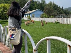 -贵州森林野生动物园