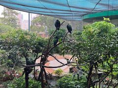 -九龙公园