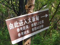 -白草畔自然风景区