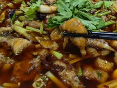 -潼南太安名鱼•特色江湖菜 太安鱼
