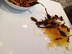-老房子金沙元年川菜食府·花园餐厅(金沙店)