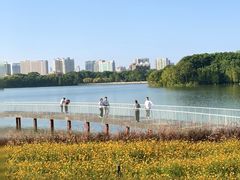-榆扉·高空City View府邸(广州天河珠江新城正佳广场旗舰店)