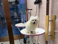 -FAELING PETS美天灵宠物(富力广场店)