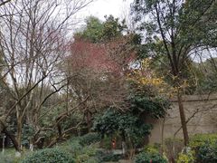 -杭州半山国家森林公园