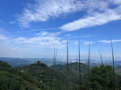 -莫干山风景区