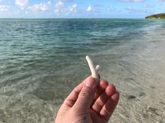 -塞班肯辛顿酒店Kensington Hotel Saipan