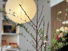 -溯洄咖啡VORTEX COFFEE