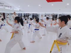 -极真空手道修远道场