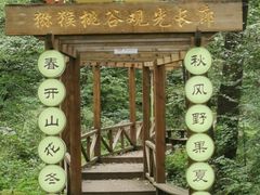 -大岭沟猕猴桃谷风景区