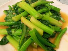 菜心-潮汕铺老店(甜水井店)