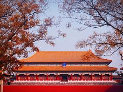 -三里屯东五街银杏大道