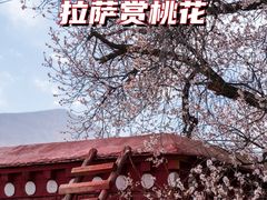 -宗角禄康公园