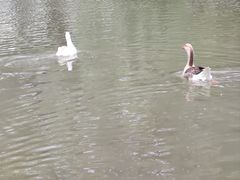 -金庭庄园酒店-停车场