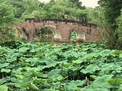 -白鹭湾湿地公园
