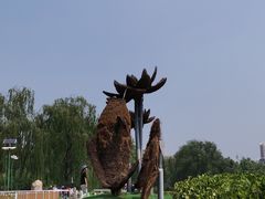 -莲花池公园