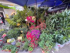 -细村农贸综合市场