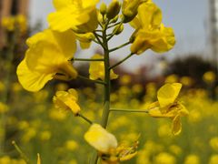 -杭州城北体育公园