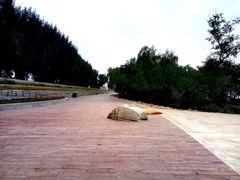 -宝安西湾红树林湿地公园