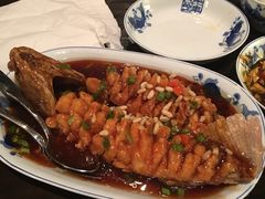 -倾城