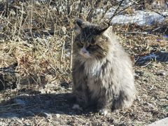 -北京西山国家森林公园