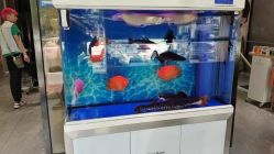 -宝诗护肤造型