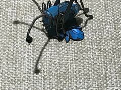 -烟台市博物馆