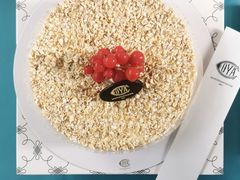 招牌燕麦蛋糕-COVA(新天地Xintiandi店)