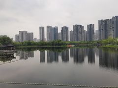 -沙湖公园