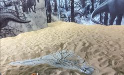 -恐龙探索乐园(磁器口店)