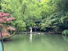 -杭州植物园