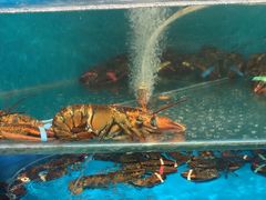 -王大厨·海鲜·家常菜