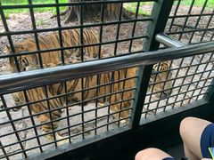 -深圳野生动物园