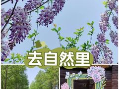-宁波杭州湾国家湿地公园