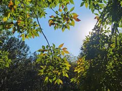 -北京奥林匹克公园