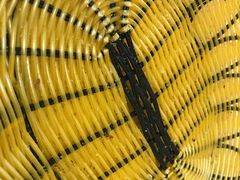 -姚延兴驴肉火烧(保税广场店)