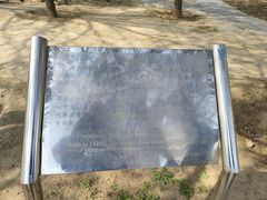 -古塔公园
