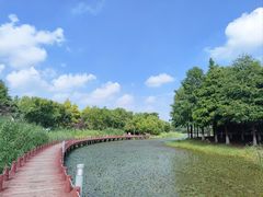 -苏州东太湖生态园