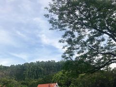 -南沙蒲洲花园