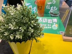 -快乐柠檬happylemon(日月光店)