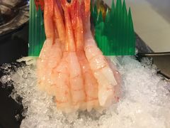 -熊出没日本烧肉放题