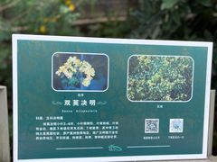 -福道