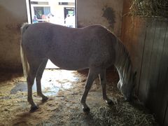 -龙口南山旅游景区