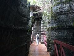 -梭布垭石林景区